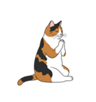 シュールでかわいい三毛猫のスタンプ（個別スタンプ：23）
