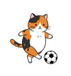 シュールでかわいい三毛猫のスタンプ（個別スタンプ：24）