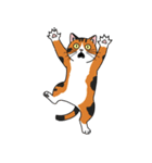 シュールでかわいい三毛猫のスタンプ（個別スタンプ：29）