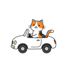 シュールでかわいい三毛猫のスタンプ（個別スタンプ：31）