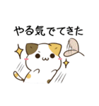 動く！毎日五月病なペンギンとねこたち 冬2（個別スタンプ：9）