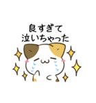 動く！毎日五月病なペンギンとねこたち 冬2（個別スタンプ：17）