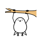 自由気ままなシマエナガ（個別スタンプ：5）