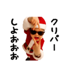 踊る！横揺れベイビーのクリスマス（個別スタンプ：8）