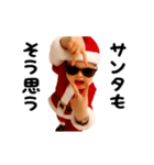 踊る！横揺れベイビーのクリスマス（個別スタンプ：11）