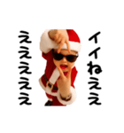 踊る！横揺れベイビーのクリスマス（個別スタンプ：22）