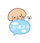 トイプードル「アプリコット」吹き出し（個別スタンプ：1）