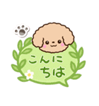 トイプードル「アプリコット」吹き出し（個別スタンプ：2）