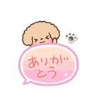 トイプードル「アプリコット」吹き出し（個別スタンプ：5）