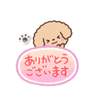 トイプードル「アプリコット」吹き出し（個別スタンプ：7）