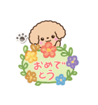 トイプードル「アプリコット」吹き出し（個別スタンプ：8）