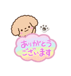 トイプードル「アプリコット」吹き出し（個別スタンプ：9）