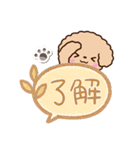トイプードル「アプリコット」吹き出し（個別スタンプ：10）