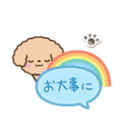トイプードル「アプリコット」吹き出し（個別スタンプ：11）