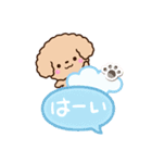 トイプードル「アプリコット」吹き出し（個別スタンプ：12）