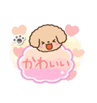 トイプードル「アプリコット」吹き出し（個別スタンプ：14）