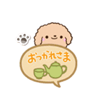 トイプードル「アプリコット」吹き出し（個別スタンプ：15）