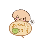 トイプードル「アプリコット」吹き出し（個別スタンプ：16）
