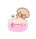 トイプードル「アプリコット」吹き出し（個別スタンプ：17）