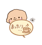 トイプードル「アプリコット」吹き出し（個別スタンプ：18）
