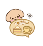 トイプードル「アプリコット」吹き出し（個別スタンプ：19）