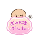 トイプードル「アプリコット」吹き出し（個別スタンプ：20）