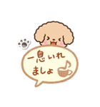 トイプードル「アプリコット」吹き出し（個別スタンプ：21）