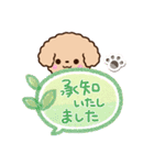 トイプードル「アプリコット」吹き出し（個別スタンプ：22）