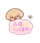 トイプードル「アプリコット」吹き出し（個別スタンプ：24）