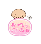 トイプードル「アプリコット」吹き出し（個別スタンプ：27）
