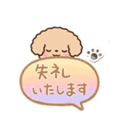 トイプードル「アプリコット」吹き出し（個別スタンプ：28）