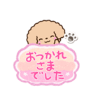 トイプードル「アプリコット」吹き出し（個別スタンプ：29）