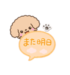 トイプードル「アプリコット」吹き出し（個別スタンプ：30）
