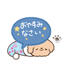 トイプードル「アプリコット」吹き出し（個別スタンプ：31）