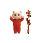 お猫様の動くスタンプ7（個別スタンプ：17）