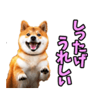 秋田弁☆柴犬（個別スタンプ：10）