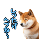 秋田弁☆柴犬（個別スタンプ：12）