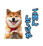 秋田弁☆柴犬（個別スタンプ：22）