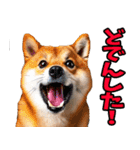 秋田弁☆柴犬（個別スタンプ：25）