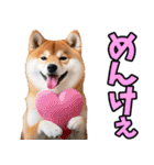 秋田弁☆柴犬（個別スタンプ：27）