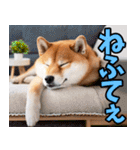 秋田弁☆柴犬（個別スタンプ：31）