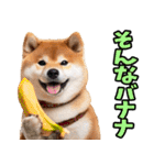 秋田弁☆柴犬（個別スタンプ：33）