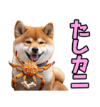 秋田弁☆柴犬（個別スタンプ：35）