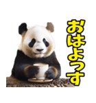 山形弁☆パンダ（個別スタンプ：1）