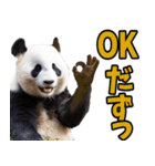 山形弁☆パンダ（個別スタンプ：4）