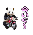 山形弁☆パンダ（個別スタンプ：9）