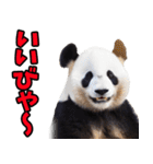 山形弁☆パンダ（個別スタンプ：15）