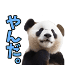 山形弁☆パンダ（個別スタンプ：16）