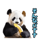 山形弁☆パンダ（個別スタンプ：18）