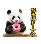 山形弁☆パンダ（個別スタンプ：19）